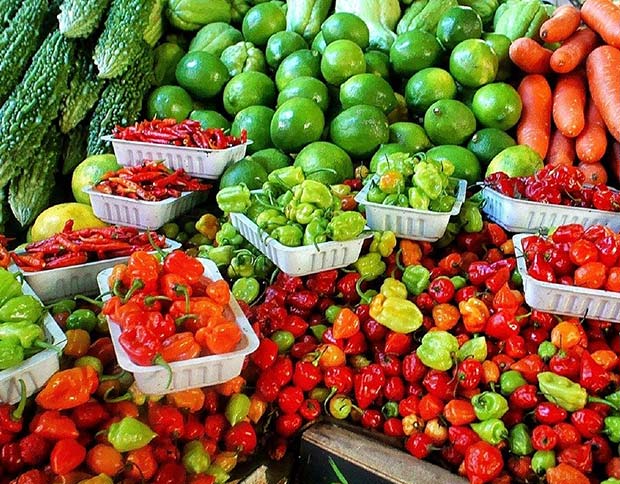 Marché local à Brissac