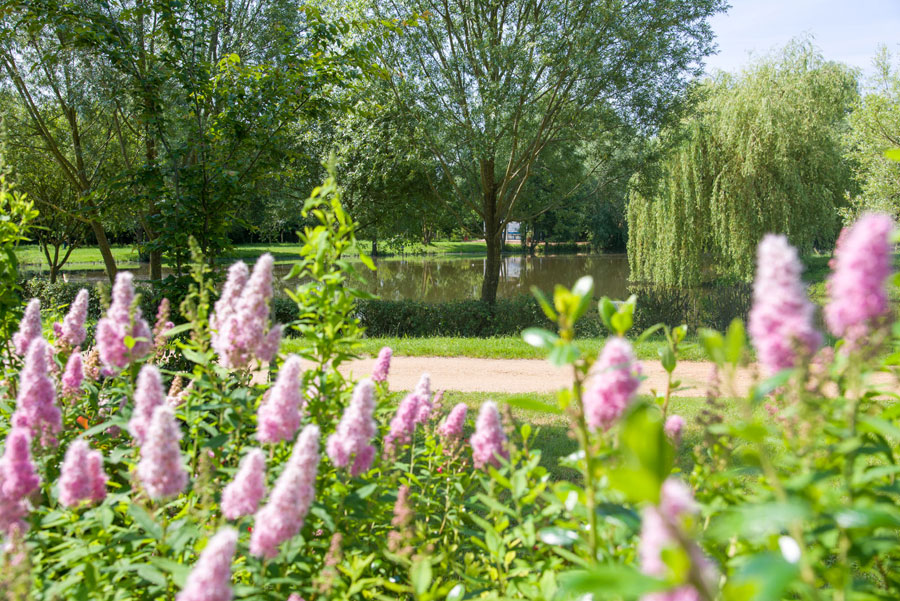 Un camping de qualité au grand air !