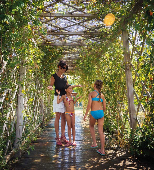 brumisateur parc etang