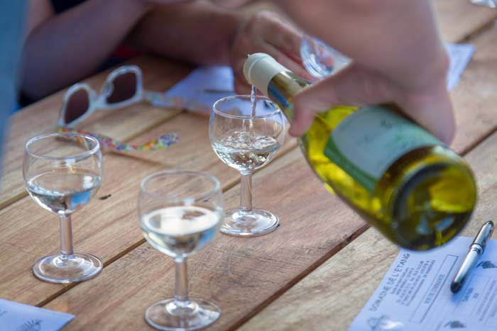 1-degustation-de-vins