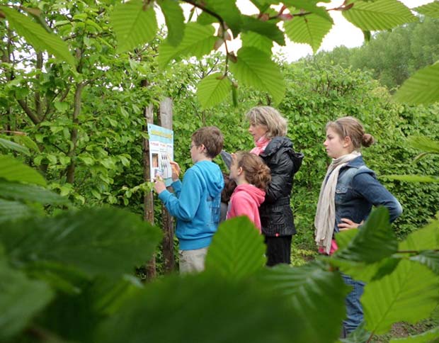 Parc de loisirs Familial