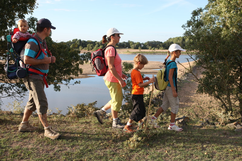 Balades en bord de Loire 