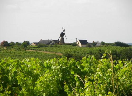CIRCUIT COTEAUX ET FORET DE BEAULIEU