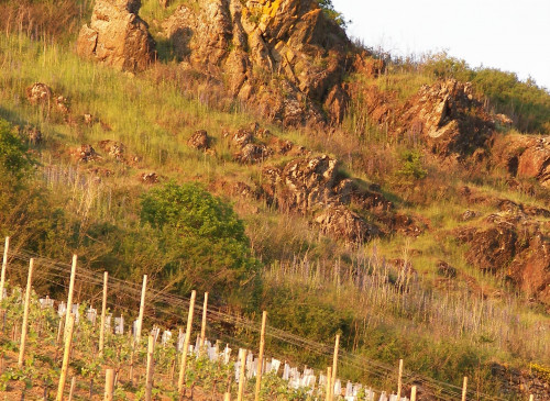 CIRCUIT DU COTEAU DE PIERRE BISE