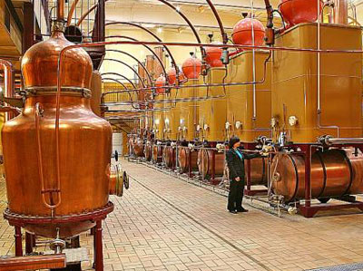 Visites d’entreprises